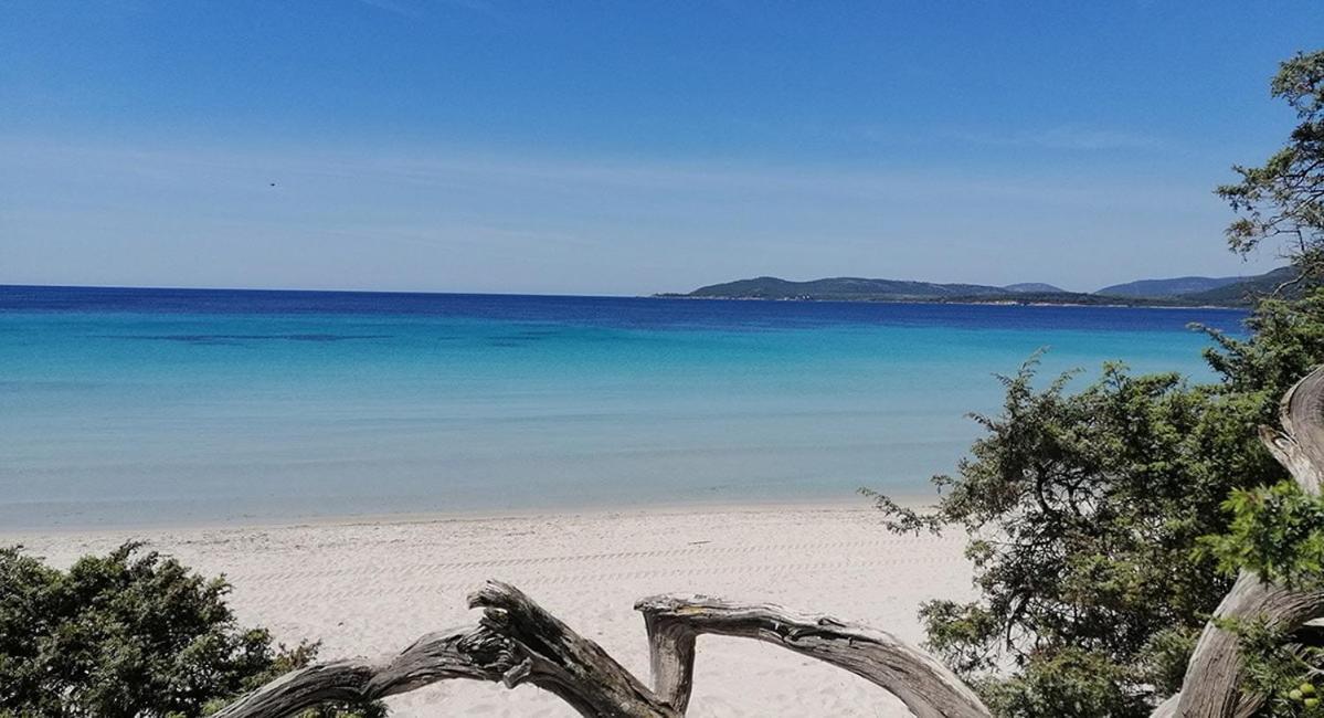 Il Grecale Lägenhet Alghero Exteriör bild